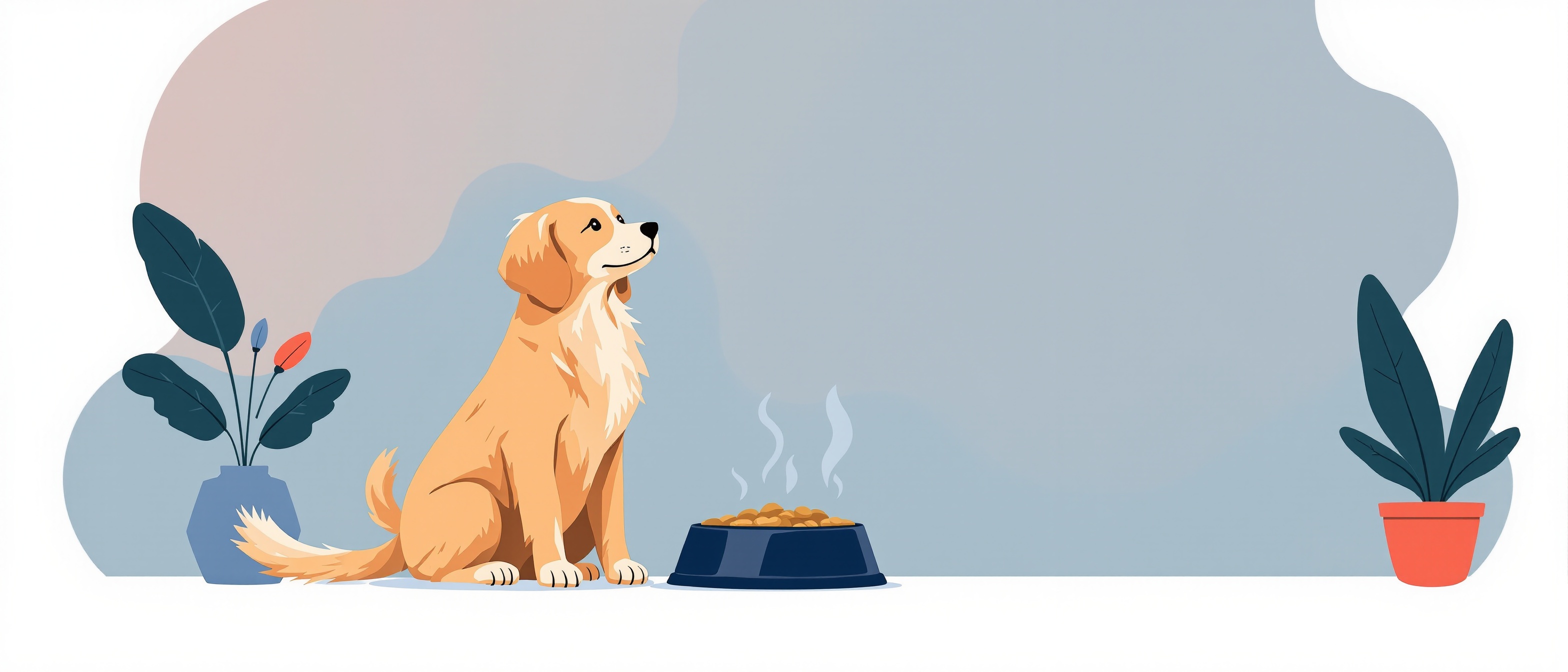 Dog waiting for food