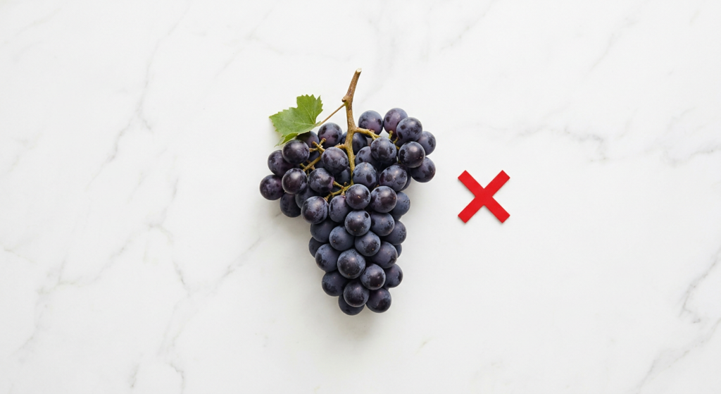 Borzoi dog sniffing grapes on kitchen counter - toxic danger warning