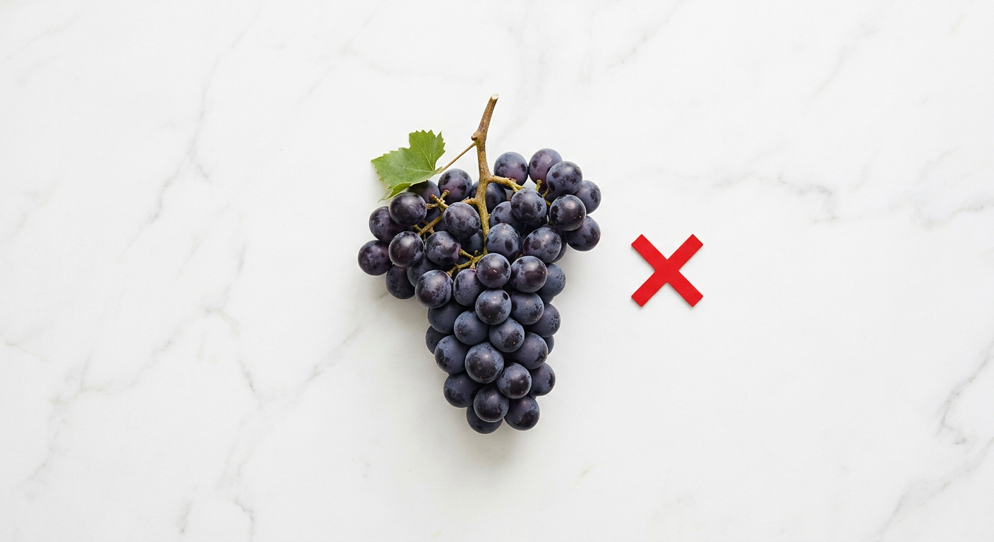 Borzoi dog sniffing grapes on kitchen counter - toxic danger warning